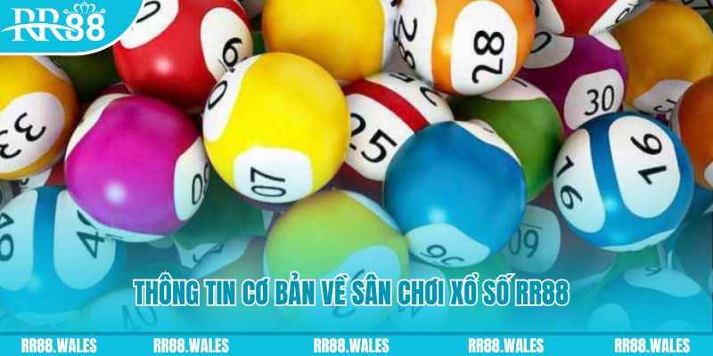 syk88 đá gà hôm nay