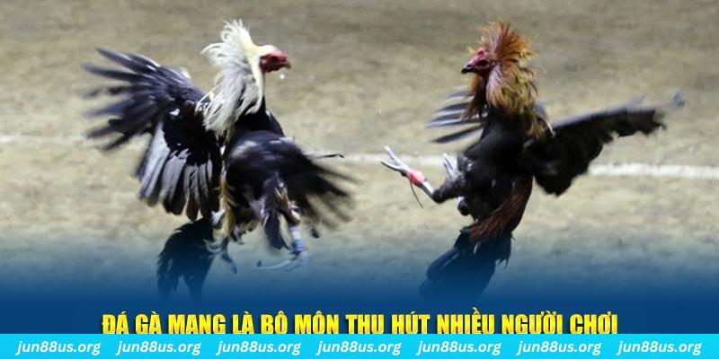 syk88 đăng nhập lô đề hàng đầu