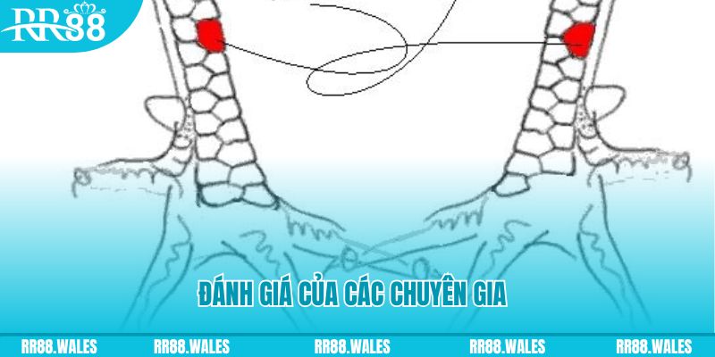 syk88 V8 Game Bài 3d