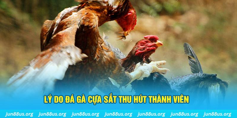 syk88 chiếm slot là gì