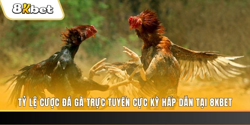 syk88 baccarat online bịp như thế nào